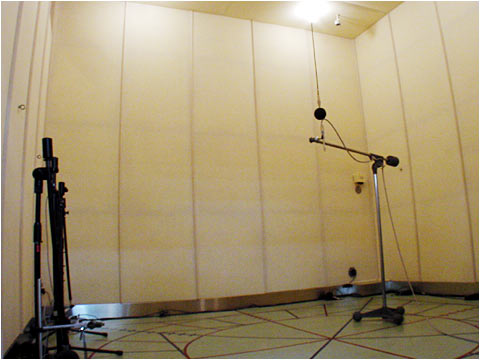 Hemi-anechoic Room Photo